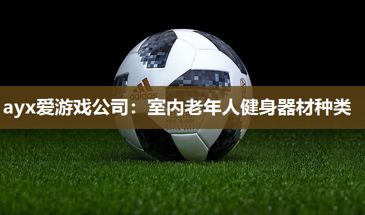 ayx爱游戏公司：室内老年人健身器材种类