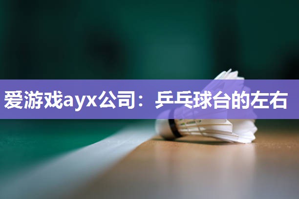 爱游戏ayx公司：乒乓球台的左右