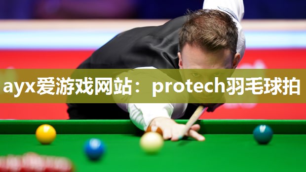 ayx爱游戏网站：protech羽毛球拍