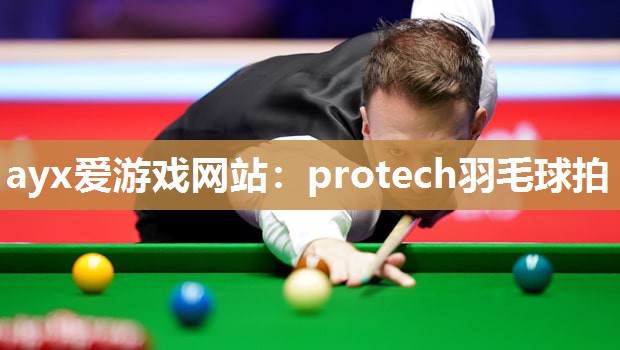 protech羽毛球拍